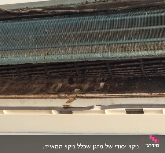 לפני